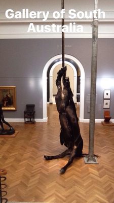 Art Gallery of South Australia by null