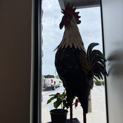 Roosters Men's Grooming Center