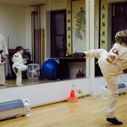 Evolutionary Martial Arts
