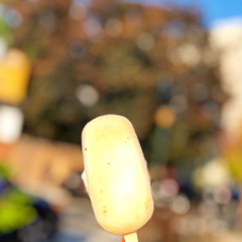 The Igloo - Pumpkin Pop - Ice Cream & Frozen Yogurt Near Me - Philadelphia, Pennsylvania