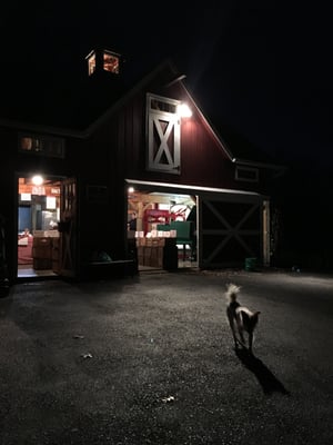 Thompson's Cider Mill and Orchard by null