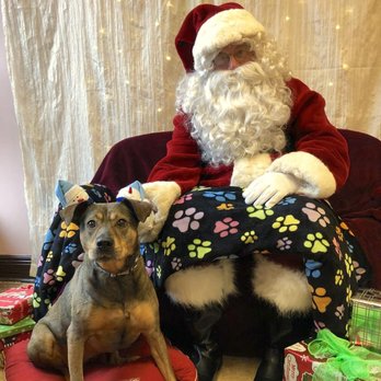 Barkley Square - Photos with Santa hosted at Barkley Square - Pet Sitting Near Me - Falls Church, Virginia