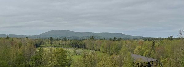 Cellardoor Winery by null