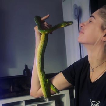 Underground Reptiles - Reptile Shops Near Me - Deerfield Beach, Florida