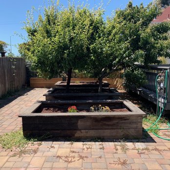 Rafael Landscaping - Before - Tree Services Near Me Rafael Landscaping - Before - Tree Services Near Me