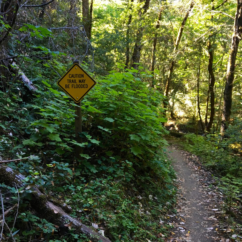Upper Stevens Creek County Park - Almost at the creek; Grizzly flat section - Parks Near Me - Los Gatos, California