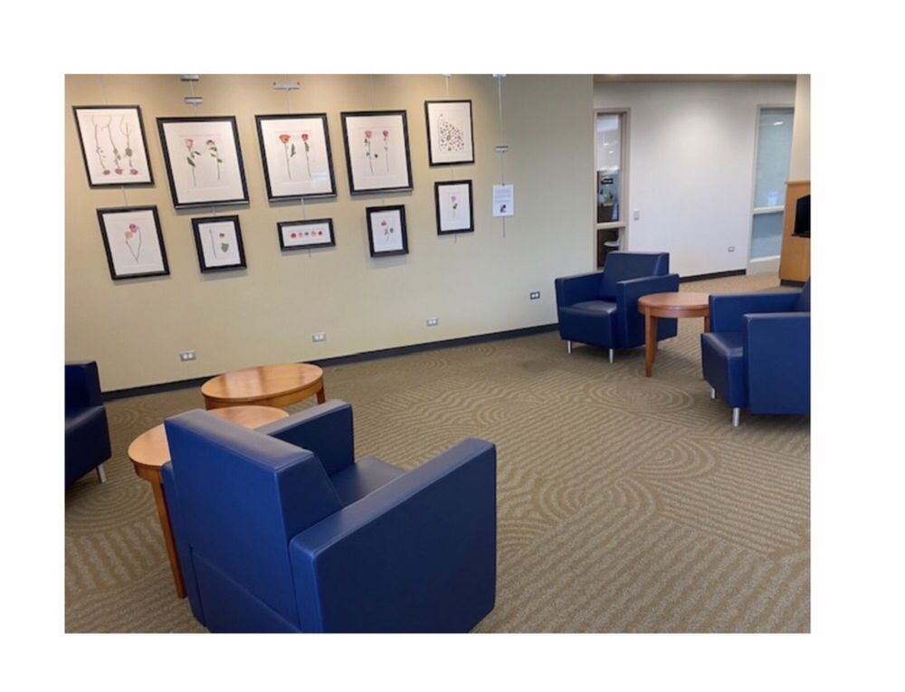 Reviews of ELA AREA PUBLIC LIBRARY Updated September 2024 11 Photos & 13 Reviews 275