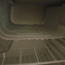 My fridge after clean seal.