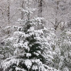 Daybreak Haven B&B - Year round availability