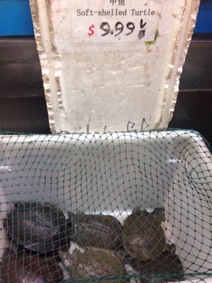 Chang Jiang Supermarket by null