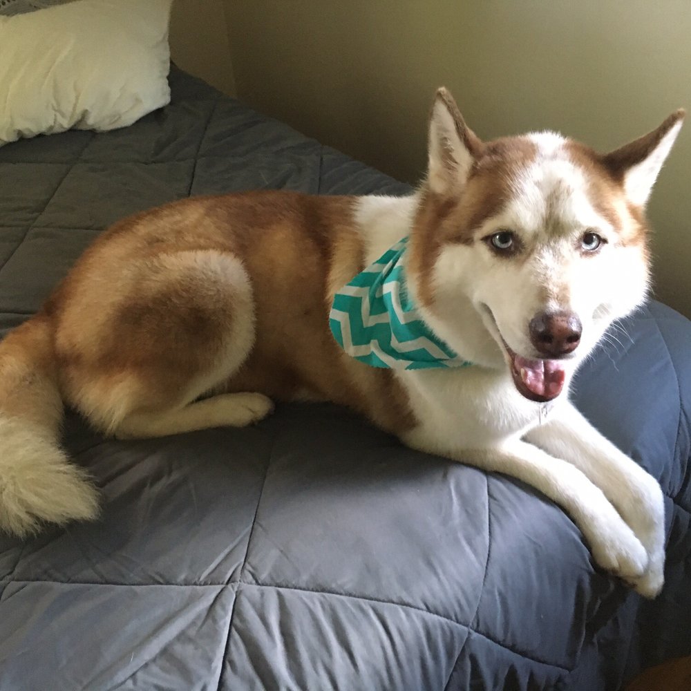 Full groom Full groom