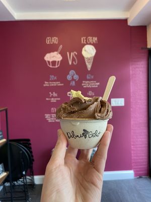 Delini Gelato by null