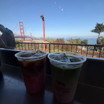 Equator Round House - View from inside - Coffee & Tea Near Me - San Francisco, California Equator Round House - View from inside - Coffee & Tea Near Me - San Francisco, California