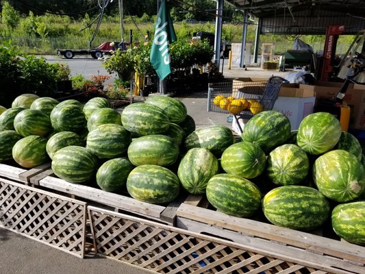 Savannah State Farmers Market by null