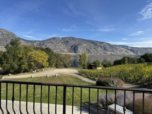 La Stella Winery by null