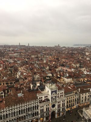 St Mark's Campanile by null