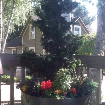 Flat Iron Grill - Nice Potted Plant on Patio area - Steakhouses Near Me - Issaquah, Washington Flat Iron Grill - Nice Potted Plant on Patio area - Steakhouses Near Me - Issaquah, Washington