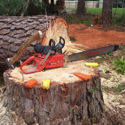 Top Notch Tree Service