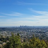 Photo of The George Harrison Tree - Los Angeles, CA, United States. Views of dtla