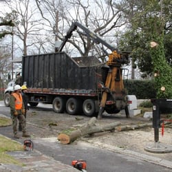 Eastern Tree & Construction