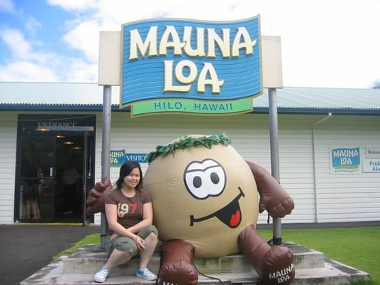 Mauna Loa Macadamia Nut Visitor Center by null