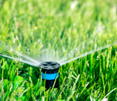 SJ Tree & Landscape professionals - tree service in Ewa Beach, HI