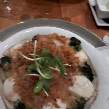 Indigenous Restaurant - Scallops - New American Near Me - Sarasota, Florida