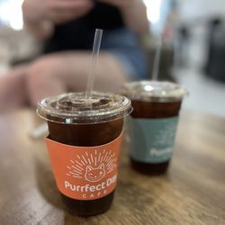 Purrfect Day Cat Cafe - Iced americanos