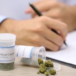Iona Cannabis Clinic of Delray Beach