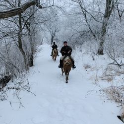 Shenandoah Riding Center - Trail riding in snow