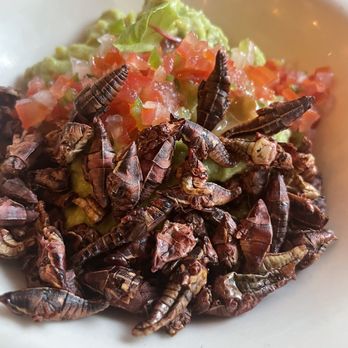 Don Artemio - Guac and grasshoppers - Mexican Near Me - Fort Worth, Texas Don Artemio - Guac and grasshoppers - Mexican Near Me - Fort Worth, Texas