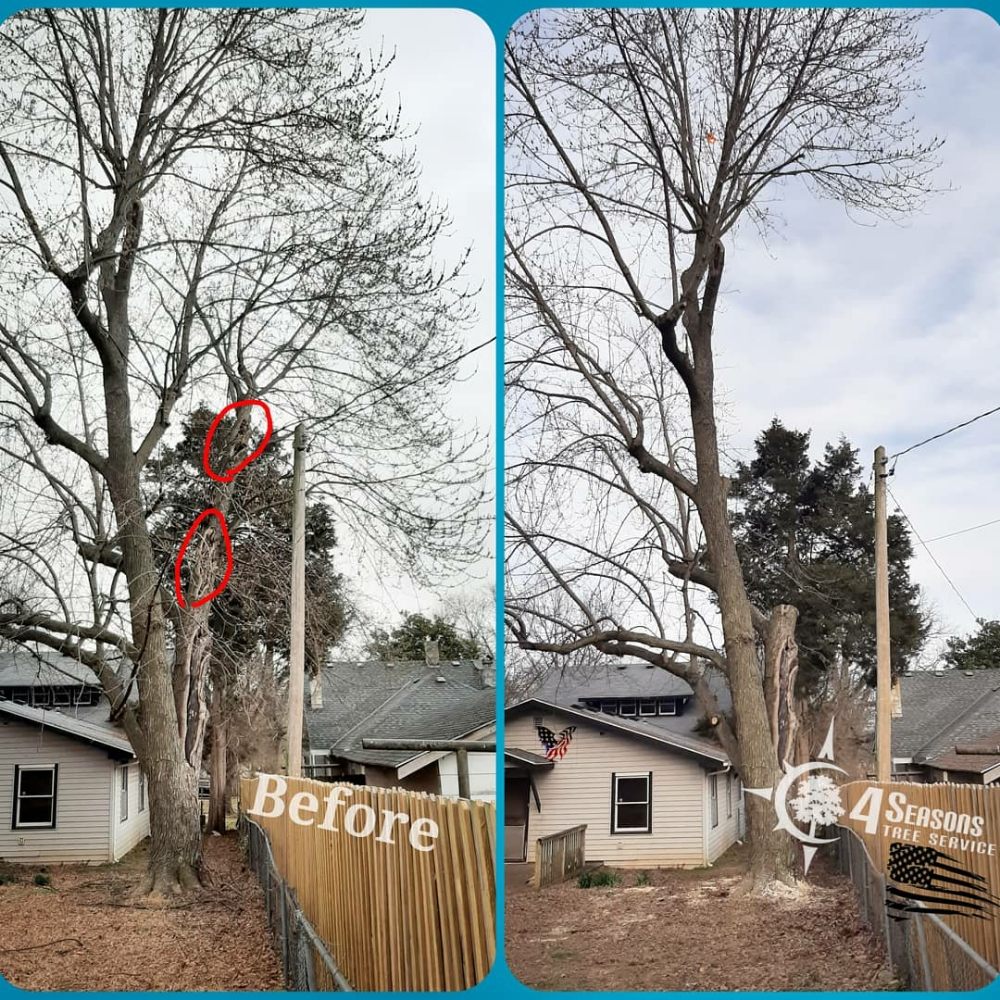 4 SEASONS TREE SERVICE Updated October 2024 102 Photos 1835 N