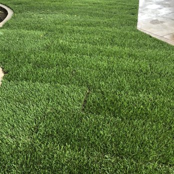Olivera Landscape - Tree Services Near Me Olivera Landscape - Tree Services Near Me