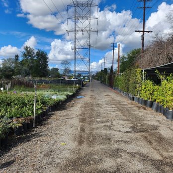 Ramy's Nursery - Nurseries & Gardening Near Me - Reseda, California Ramy's Nursery - Nurseries & Gardening Near Me - Reseda, California