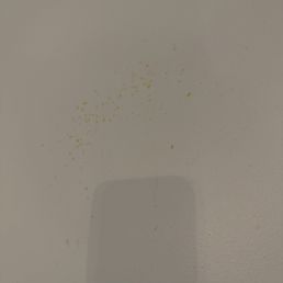 pee on the wall pee on the wall