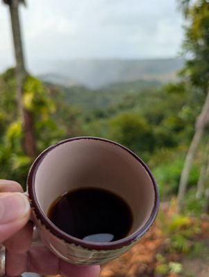 Sandra Farms Coffee by null