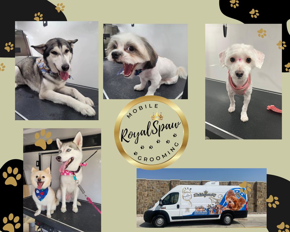 ROYAL SPAW MOBILE GROOMING Updated September 2024 109 Morning Dawn