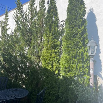 Bella Vie - Side patio seating - Italian Near Me - Bay Shore, New York Bella Vie - Side patio seating - Italian Near Me - Bay Shore, New York