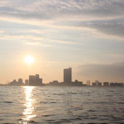 Optimistic Sail Charters