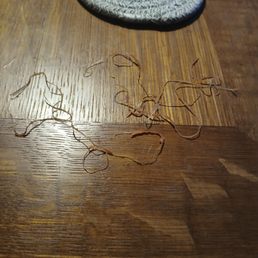 Looks like plastic string/rind to us.