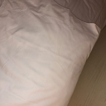 Margaritaville Resort Cape Cod - Bed bug feces stains on pillow - Resorts Near Me - Hyannis, Massachusetts