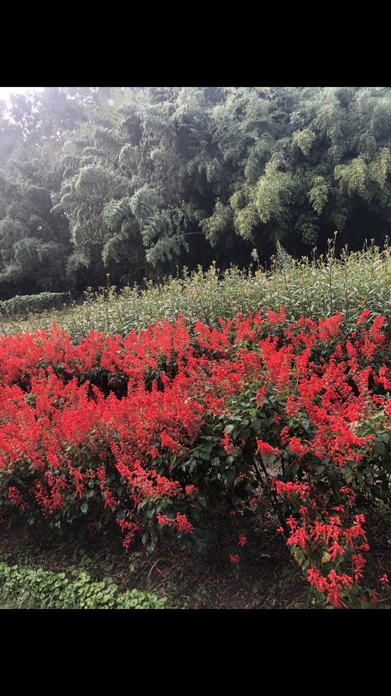 TURNIPSEED NURSERY FARMS Updated August 2024 685 Glynn St S, Fayetteville,