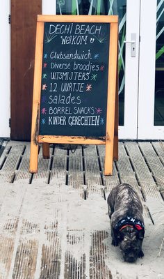 Menu photo 1 Dechi Beach Hoek van Holland, ZH