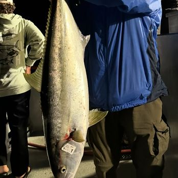 Davey's Locker - My Yellowtail! 4am catch! - Fishing Near Me - Newport Beach, California