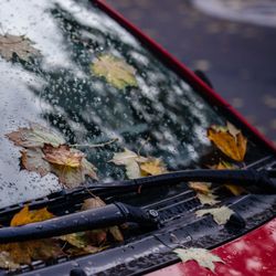 Progressive Automotive And Tire - SQUEAK. CHATTER. SKIP. REPEAT. 

If your windshield wipers are making more noise than they're clearing rain, it may be time for new blades