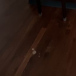 water damage on hardwood floors water damage on hardwood floors