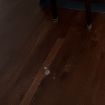Mr Sandless Fairfield County - water damage on hardwood floors - Flooring Near Me Mr Sandless Fairfield County - water damage on hardwood floors - Flooring Near Me