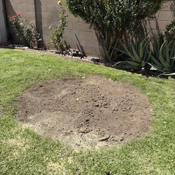 Ureno Tree Service - After - Tree Services Near Me - Anaheim, California