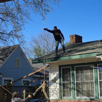 Timber In Systems - Tree Services Near Me - Keithville, Louisiana Timber In Systems - Tree Services Near Me - Keithville, Louisiana
