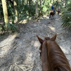 Walton Ranch Preserve - Beautiful trail riding